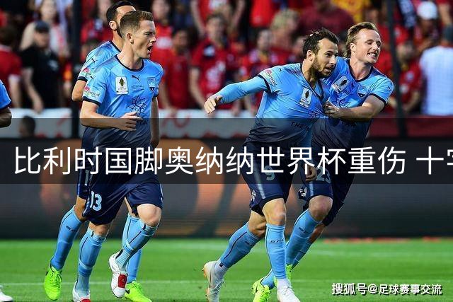 比利时国脚奥纳纳世界杯重伤 十字韧带手术宣告赛季报销